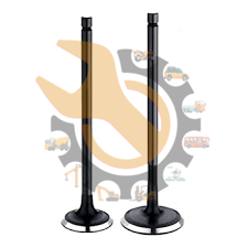 Bajaj Discover 100 DTS-SI Engine Valve