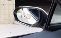 Toyota Prius Looking Glass 2016-2017