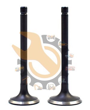 TOYOTA  Intake Valve,  1Y/2Y, 13711-71010