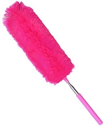 Car duster brush