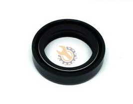 Tvs Apache RTR 160 4v Fork Oil Seal Single