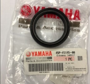 R15 V-3 Indo Oil Seal
